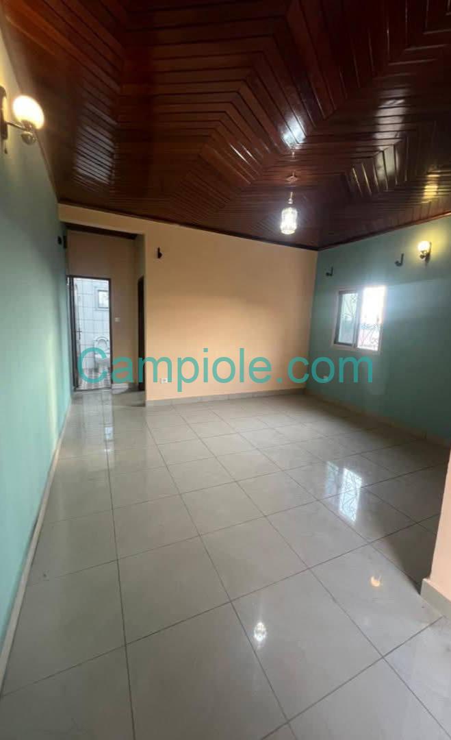 ZD_studio_damas_yde_050925_sln2