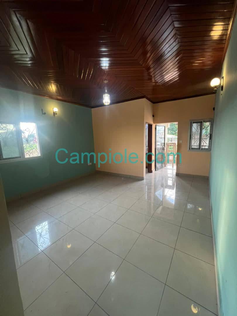 ZD_studio_damas_yde_050925_sln3