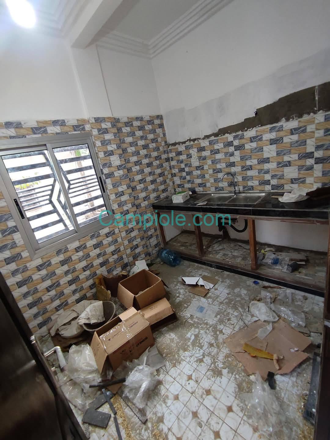 ZD_studio_damas_yde_110925_csn