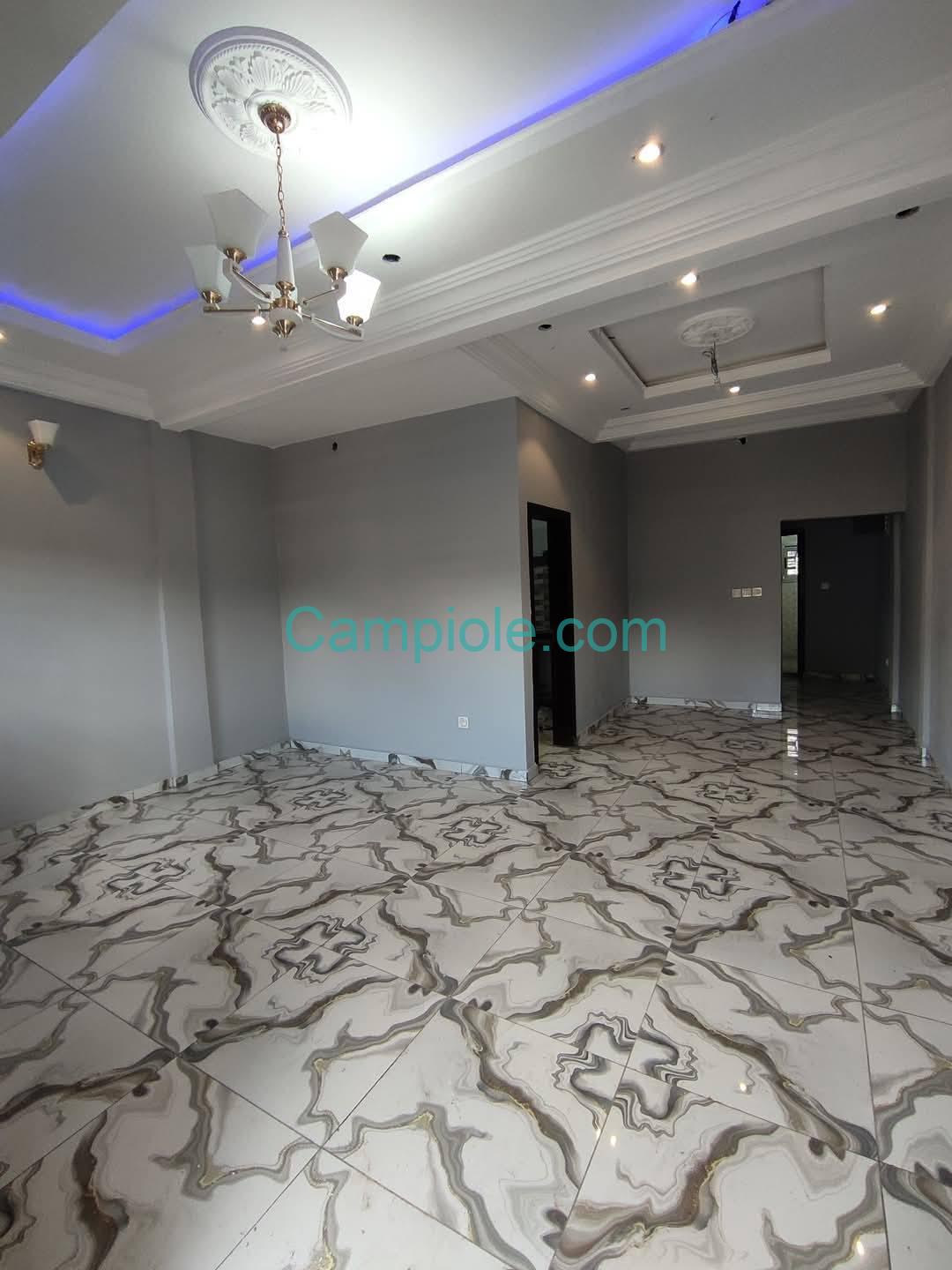 ZD_studio_damas_yde_110925_sln2