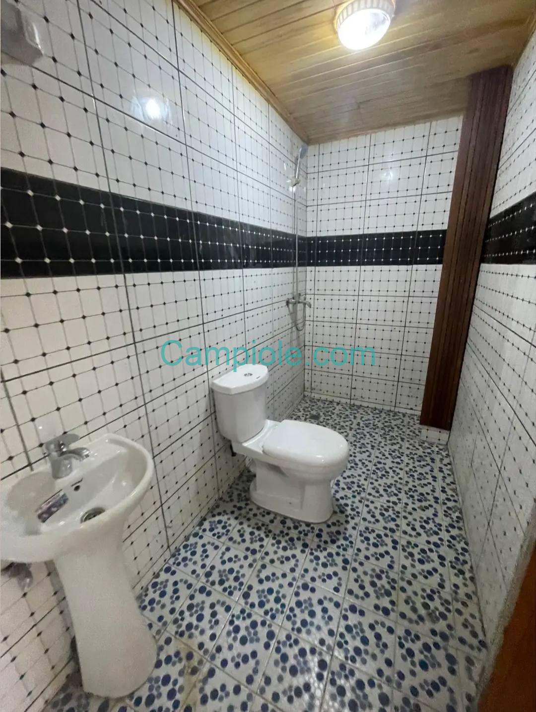 ZD_studio_etougebe_050925_dch