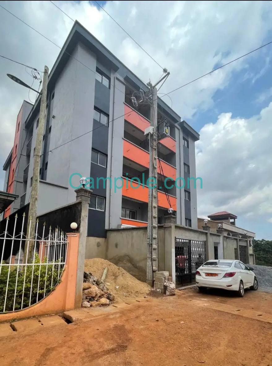 ZD_studio_etougebe_050925_mmb