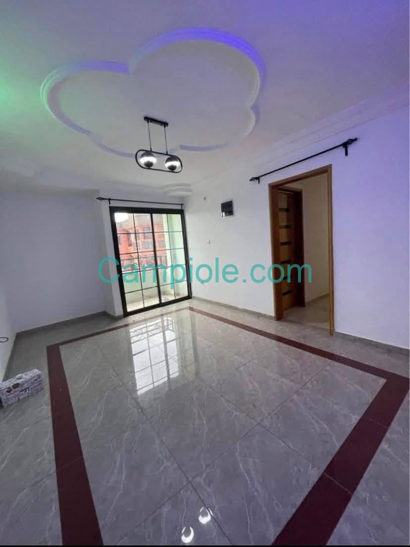 ZD_studio_mendong_140925_sln1