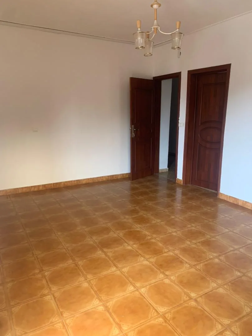 Grand Appartement moderne