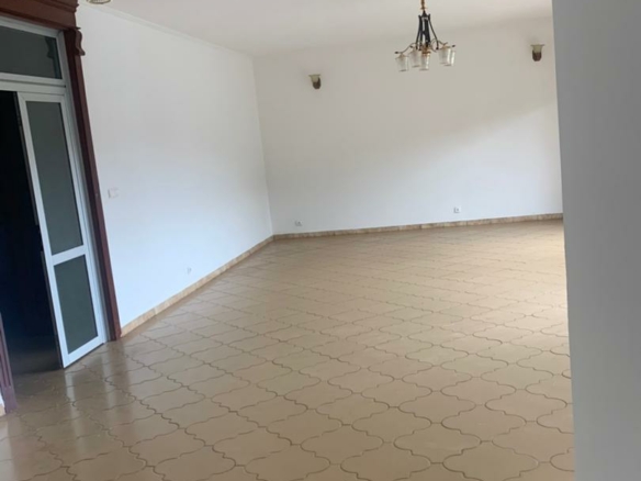 Grand Appartement moderne