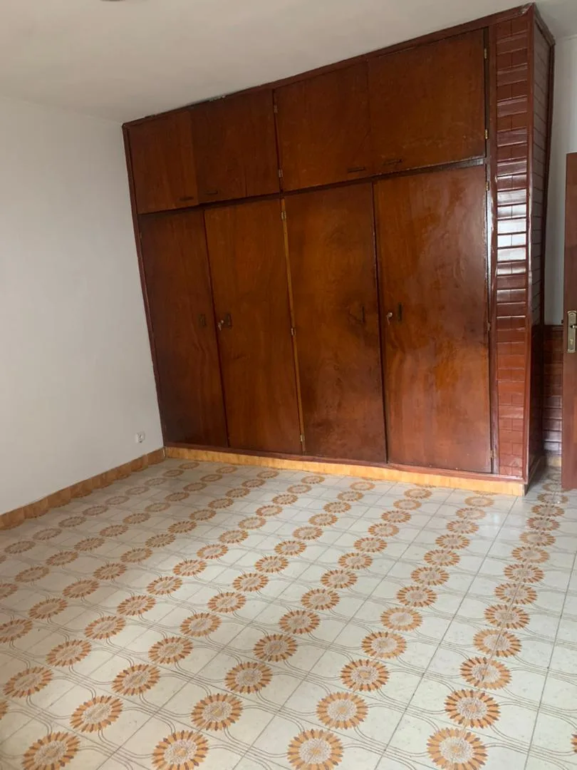 Grand Appartement moderne