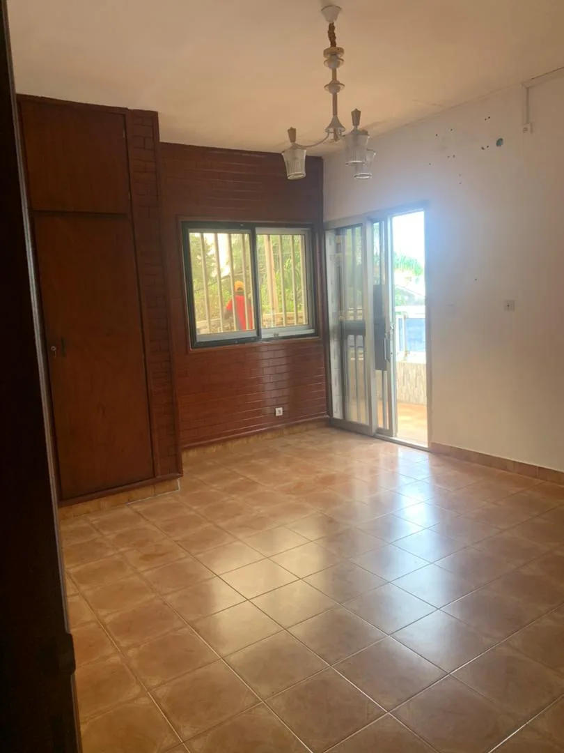 Grand Appartement moderne