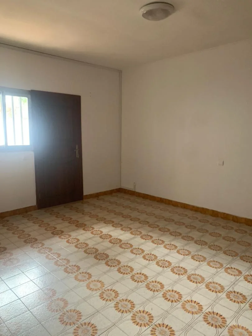 Grand Appartement moderne