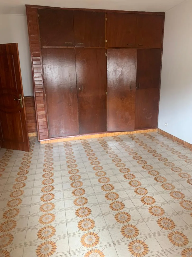 Grand Appartement moderne