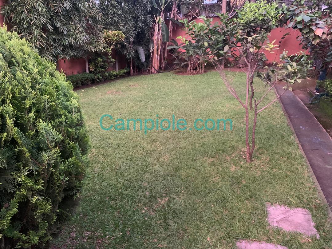 D21AE8E6-DF74-48DC-A3F3-BE53BB6AABEC