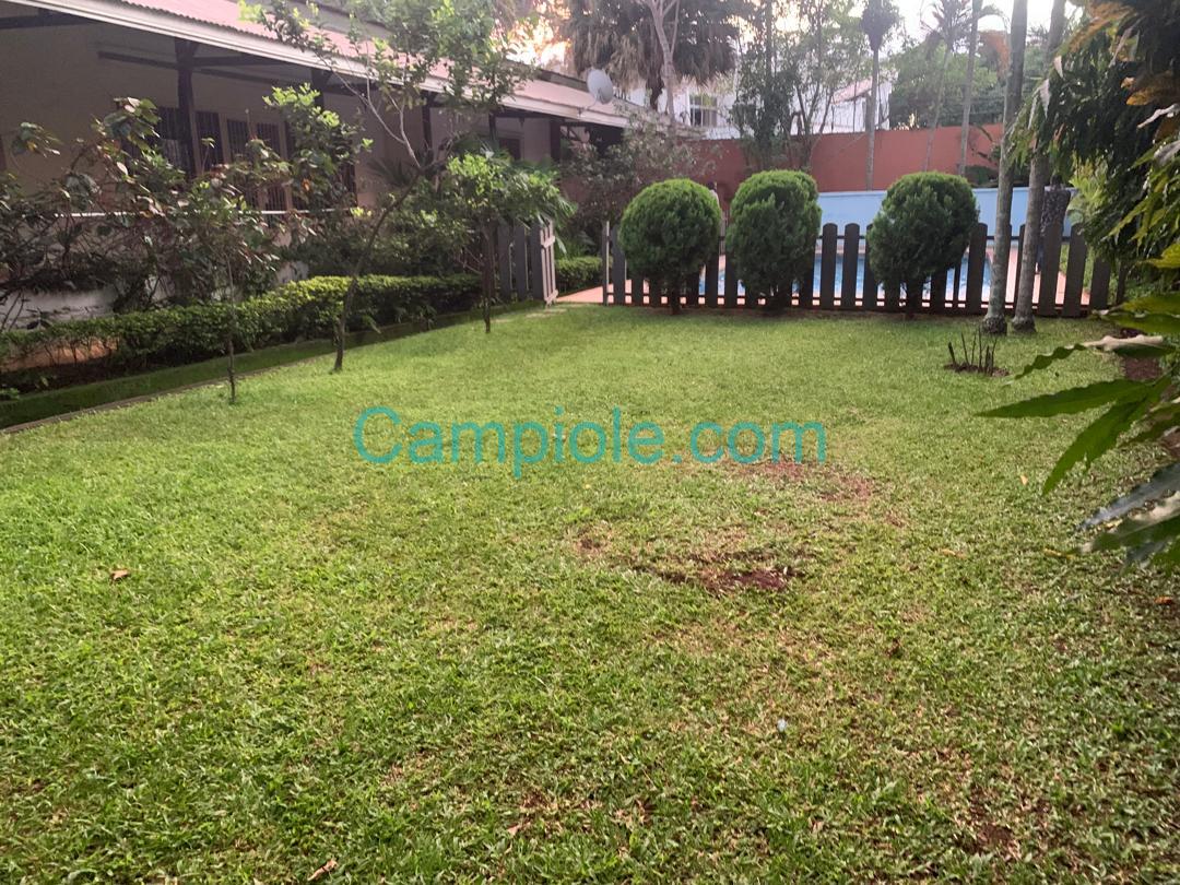 D6C639F7-E891-4D74-9BEB-2C44FFE9A1CC