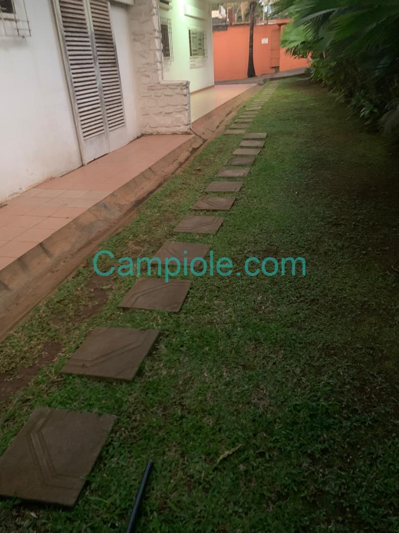 E8D1DED1-71ED-4B4F-B36E-616E6DBD5230