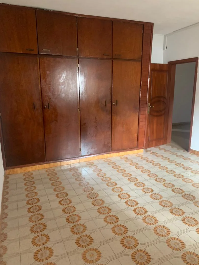 Grand Appartement moderne