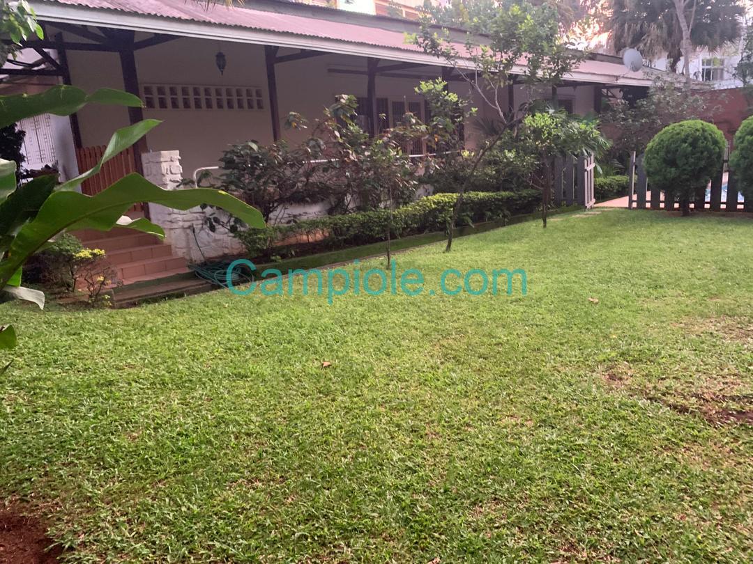 F66B8828-7011-4FEF-9705-3A9D4F9791BF