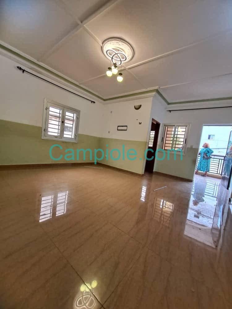 HS_studio_nkolfoulou_051025_sln1