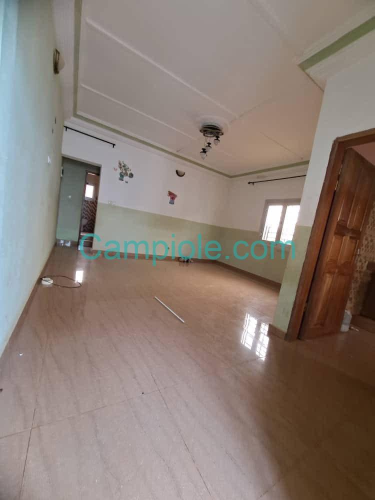 HS_studio_nkolfoulou_051025_sln3