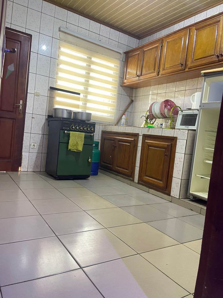 IDL_appartement_meubl_bonamoussadi_151025_csn