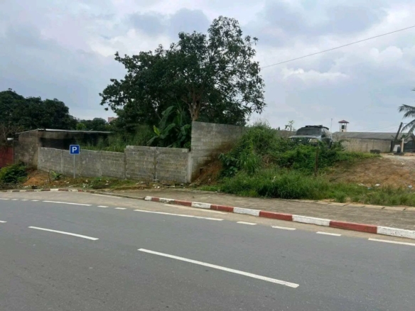 Terrain commercial à vendre, Logpom Douala V