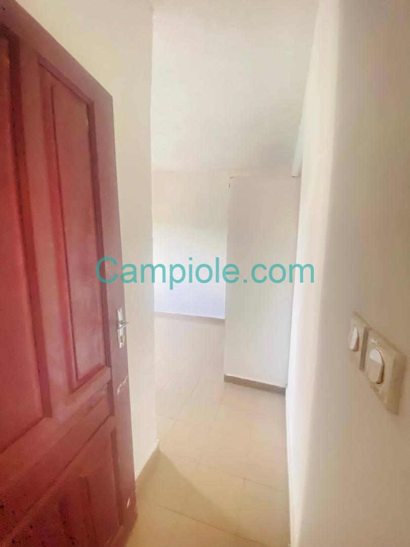 PIL_appartement_odza_111025_clr