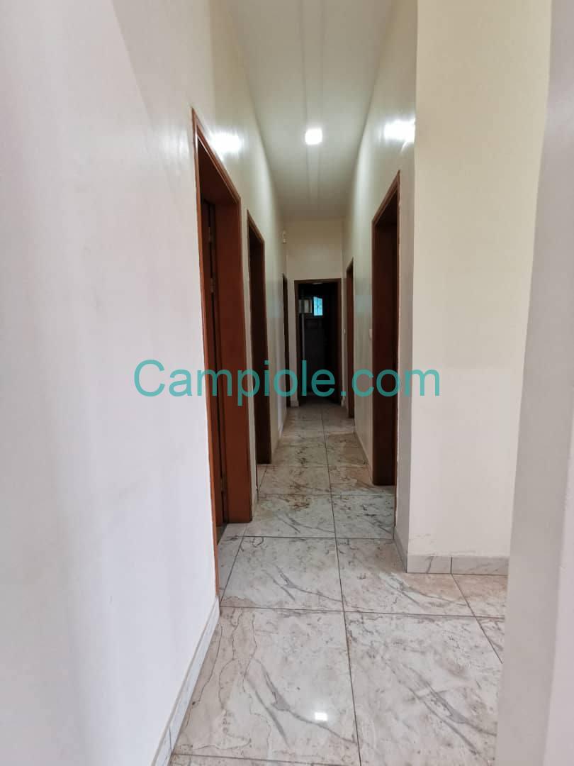 PLI_appartment_omnisport_yde_111025_clr