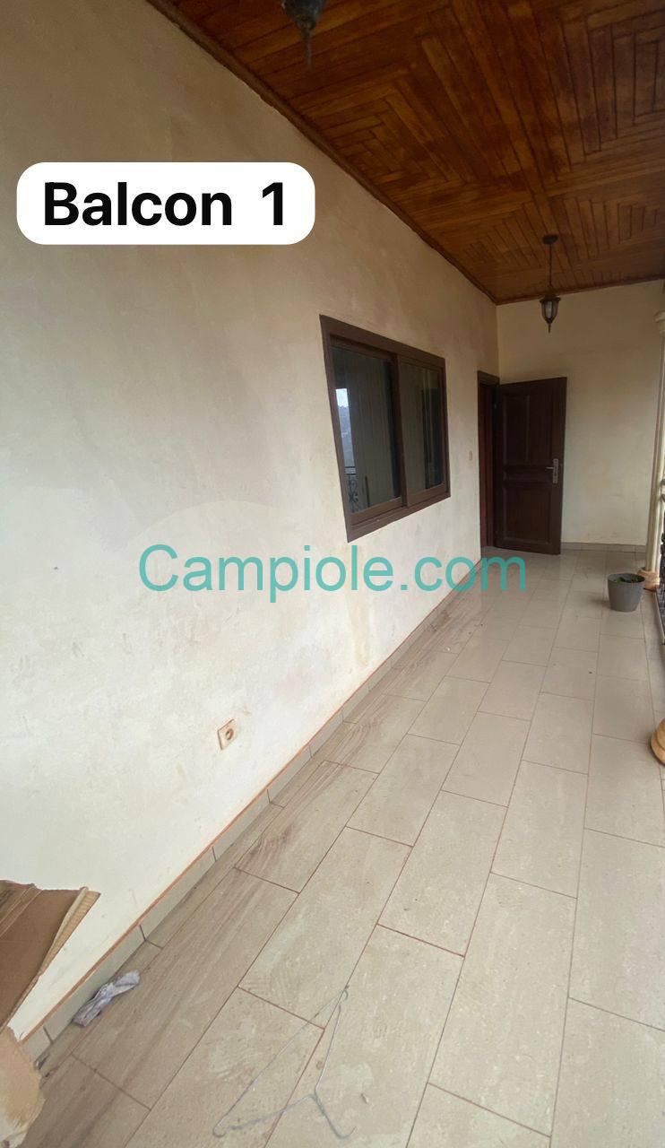 PLI_studio_cite_verte_yde_111025_blcn