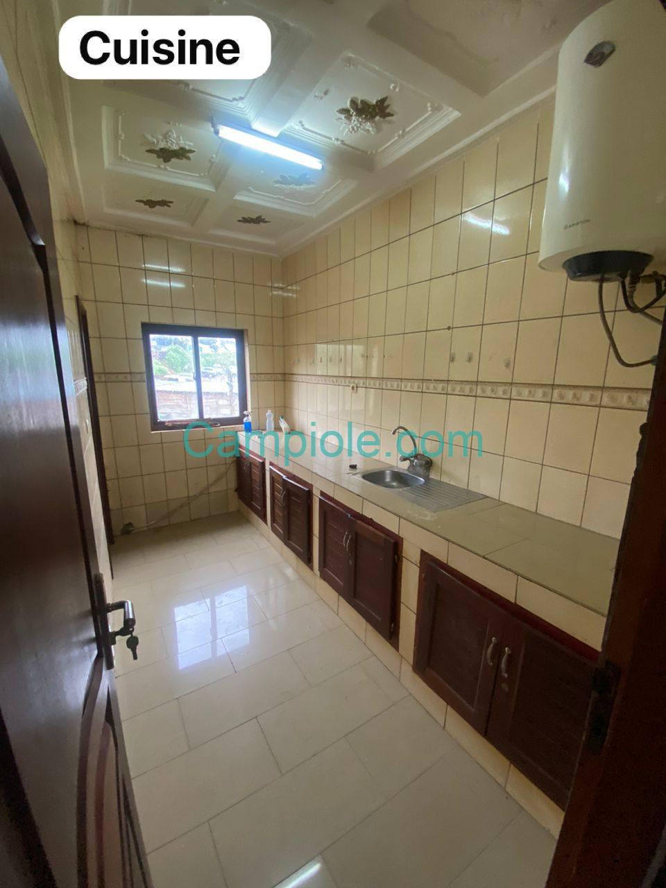 PLI_studio_cite_verte_yde_111025_csn