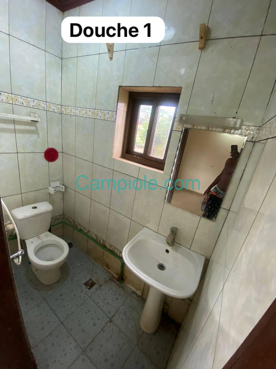 PLI_studio_cite_verte_yde_111025_dch1