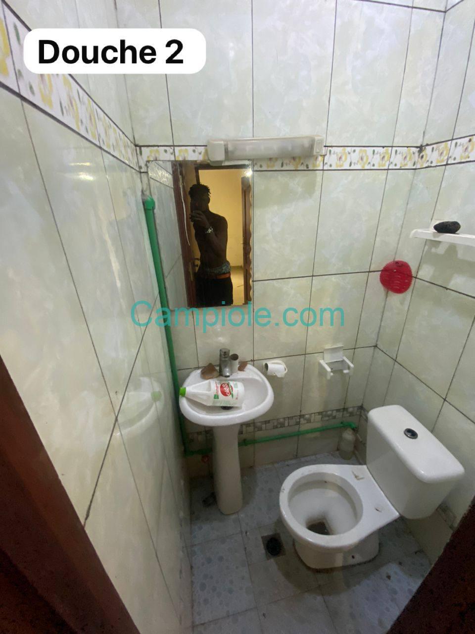 PLI_studio_cite_verte_yde_111025_dch2