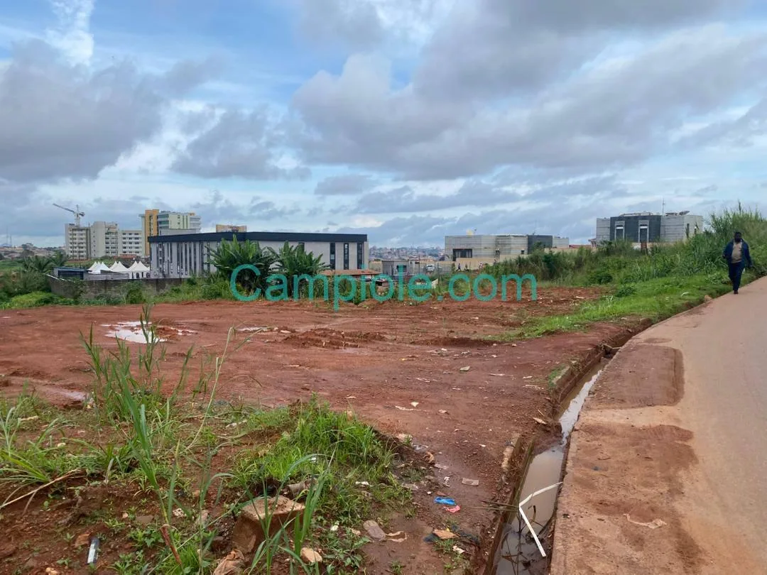 23002- Très belle offre de terrain à vendre à Yaoundé Dragage