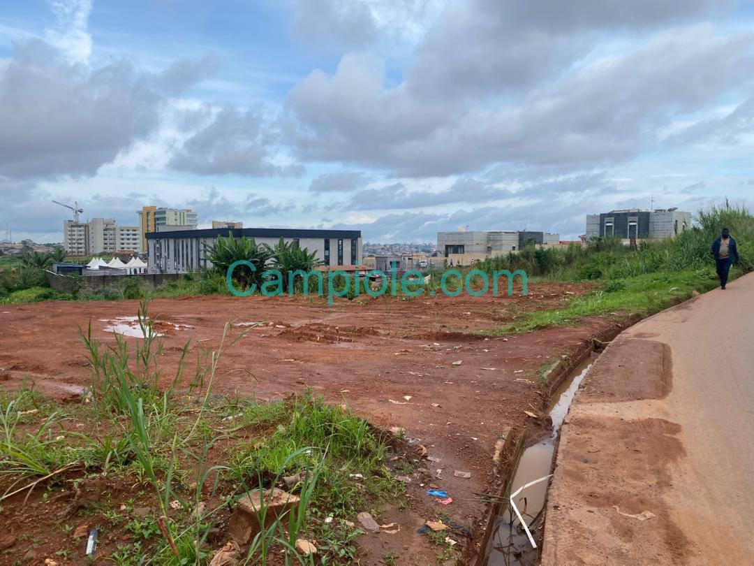 PLI_terrain_dragage_yde_111025_1