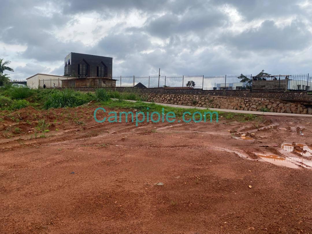 PLI_terrain_dragage_yde_111025_2