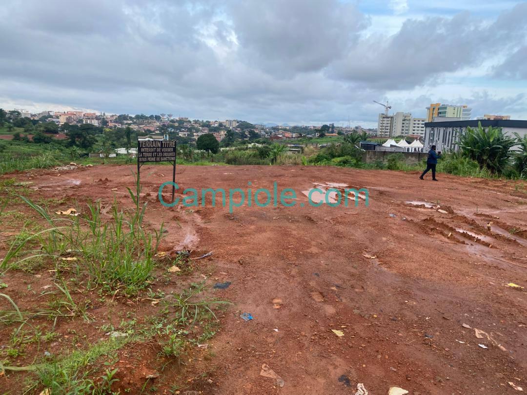 PLI_terrain_dragage_yde_111025_4