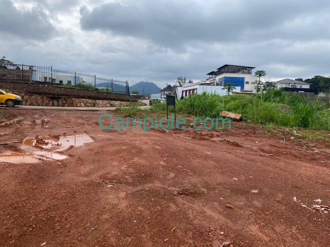 PLI_terrain_dragage_yde_111025_5