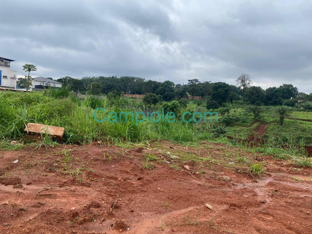 PLI_terrain_dragage_yde_111025_6