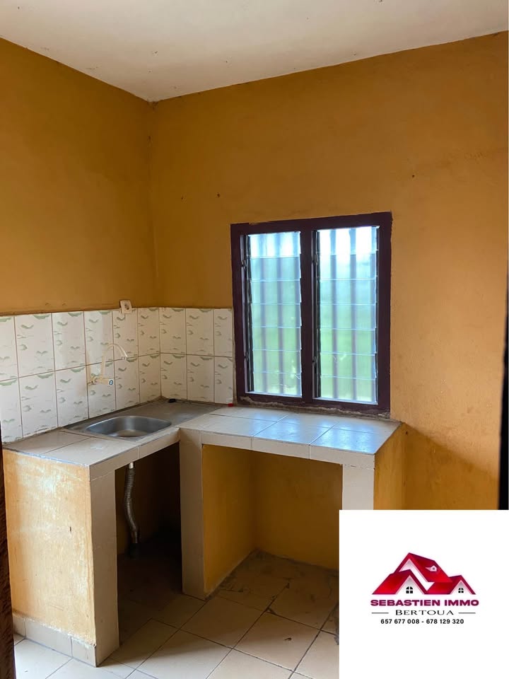 SIB_appartement_bertoua_211025_csn