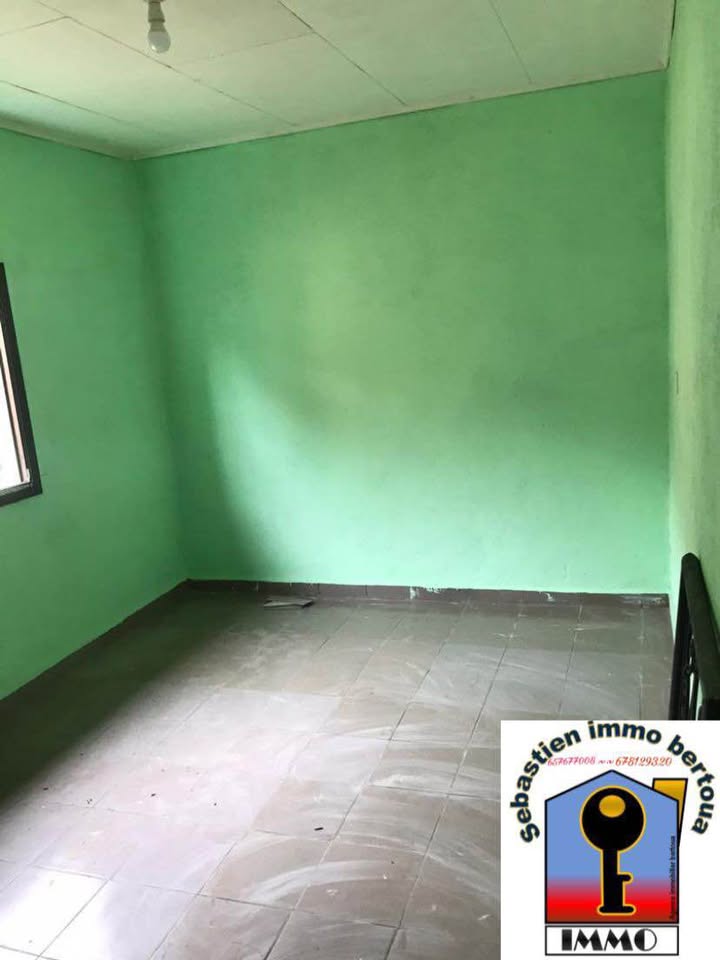 SIB_studio_bertoua_211025_chb