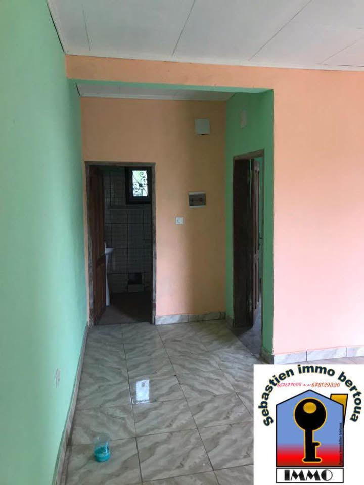 SIB_studio_bertoua_211025_clr