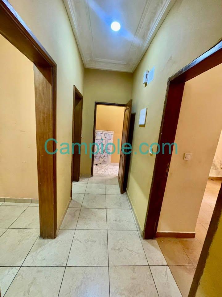 TA_studio_biyemassi_081025_clr