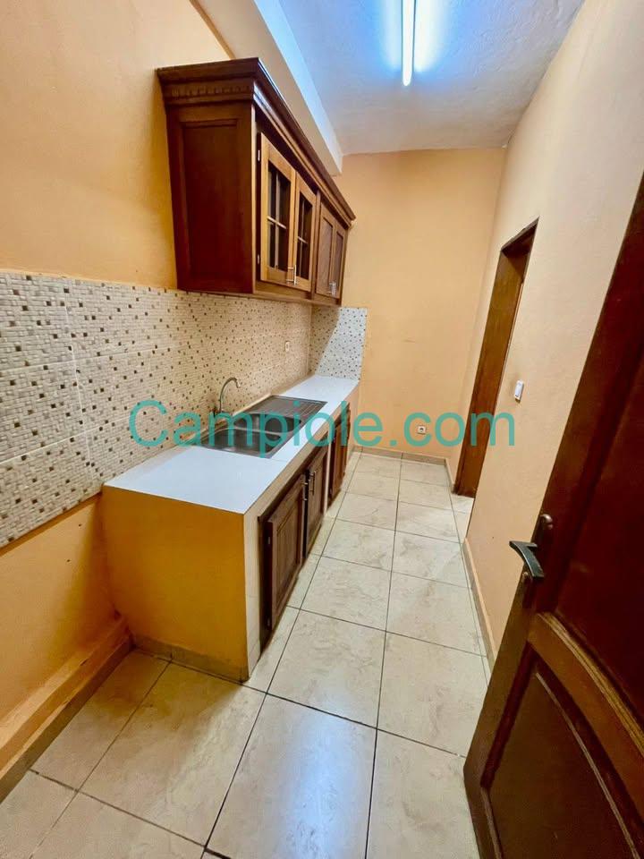 TA_studio_biyemassi_081025_csn2