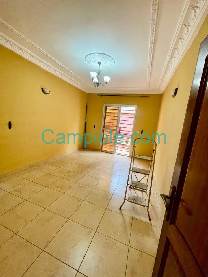 TA_studio_biyemassi_081025_sln1