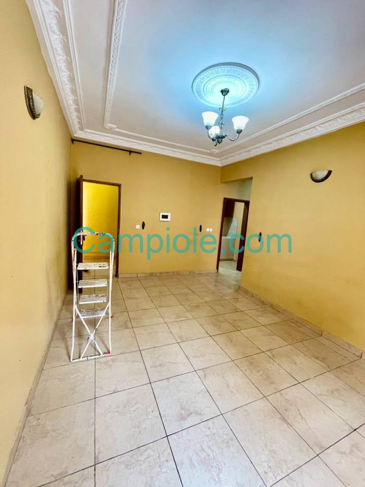 TA_studio_biyemassi_081025_sln2