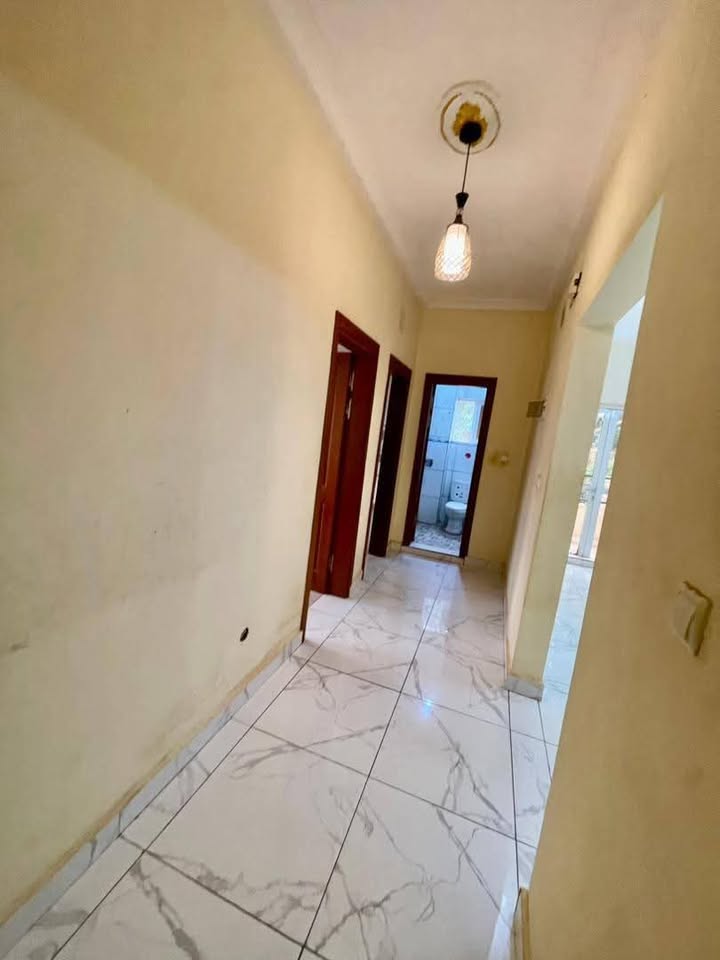 TA_studio_damas_201025_clr