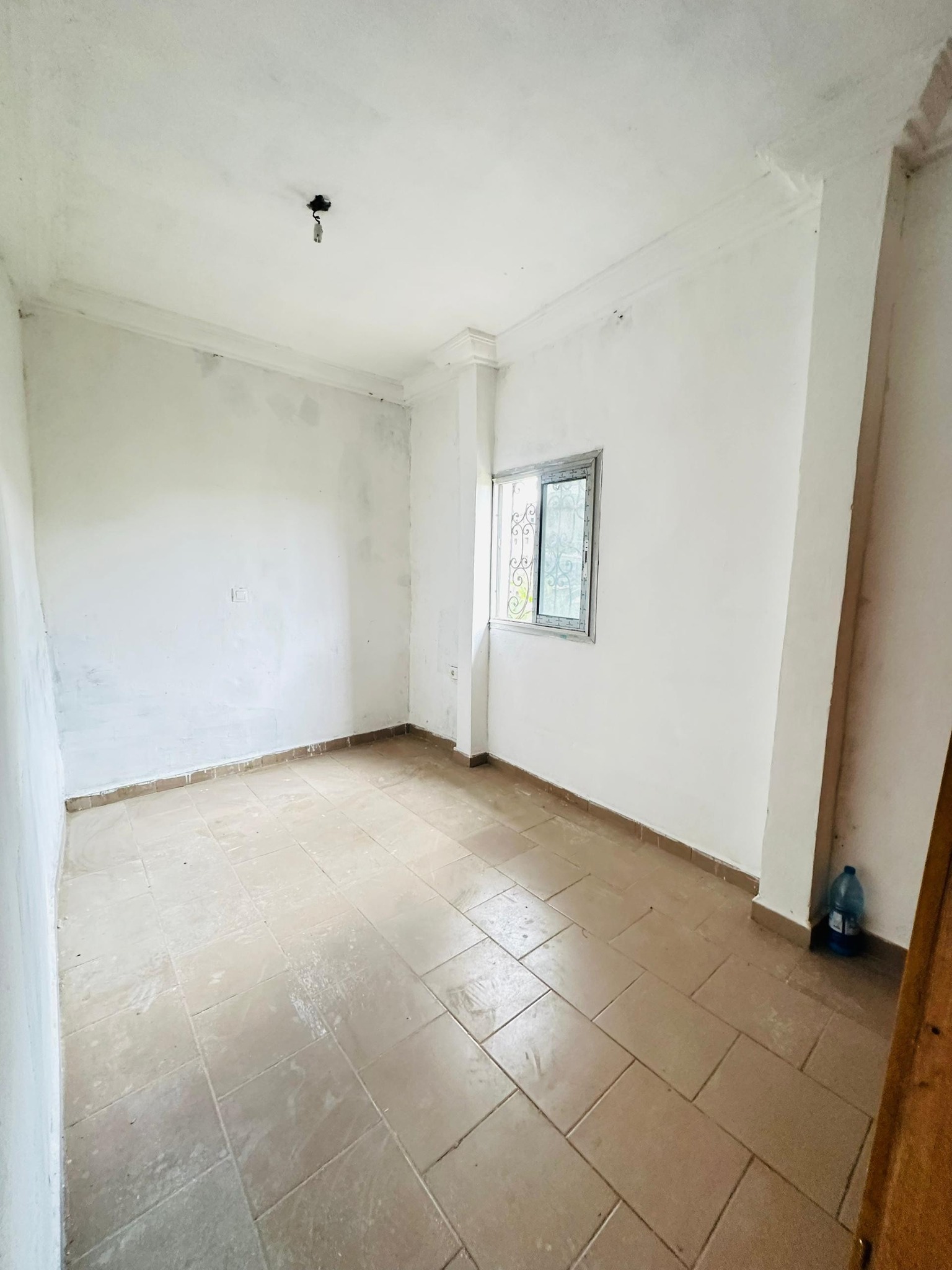 YI_studio_biyemassi_acacia_151025_chb1