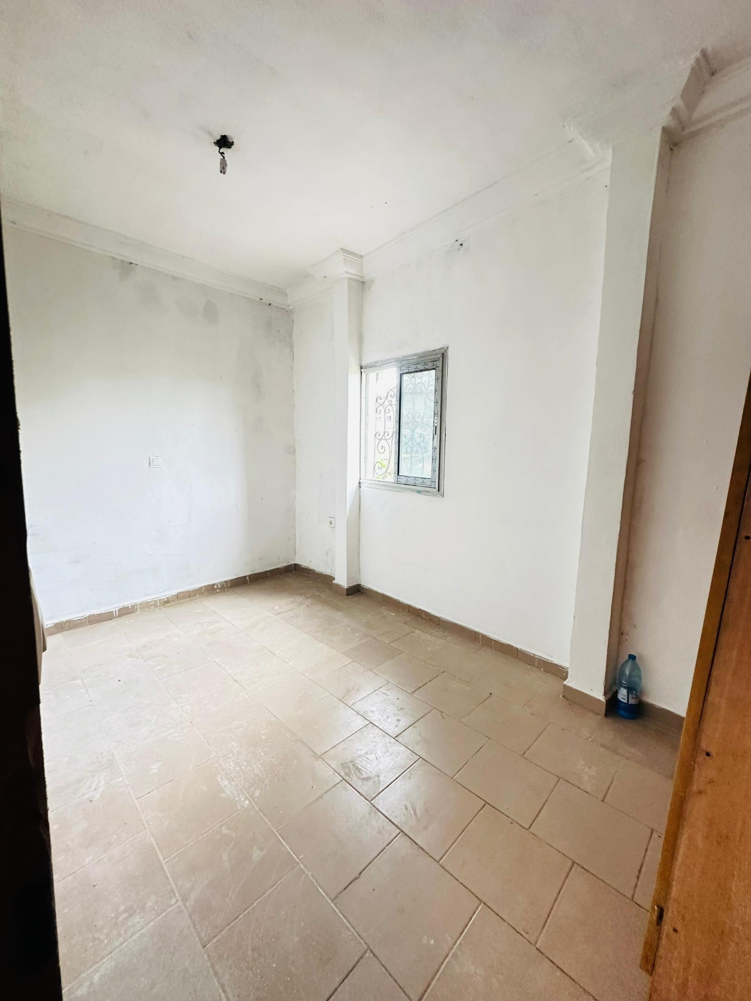 YI_studio_biyemassi_acacia_151025_chb3