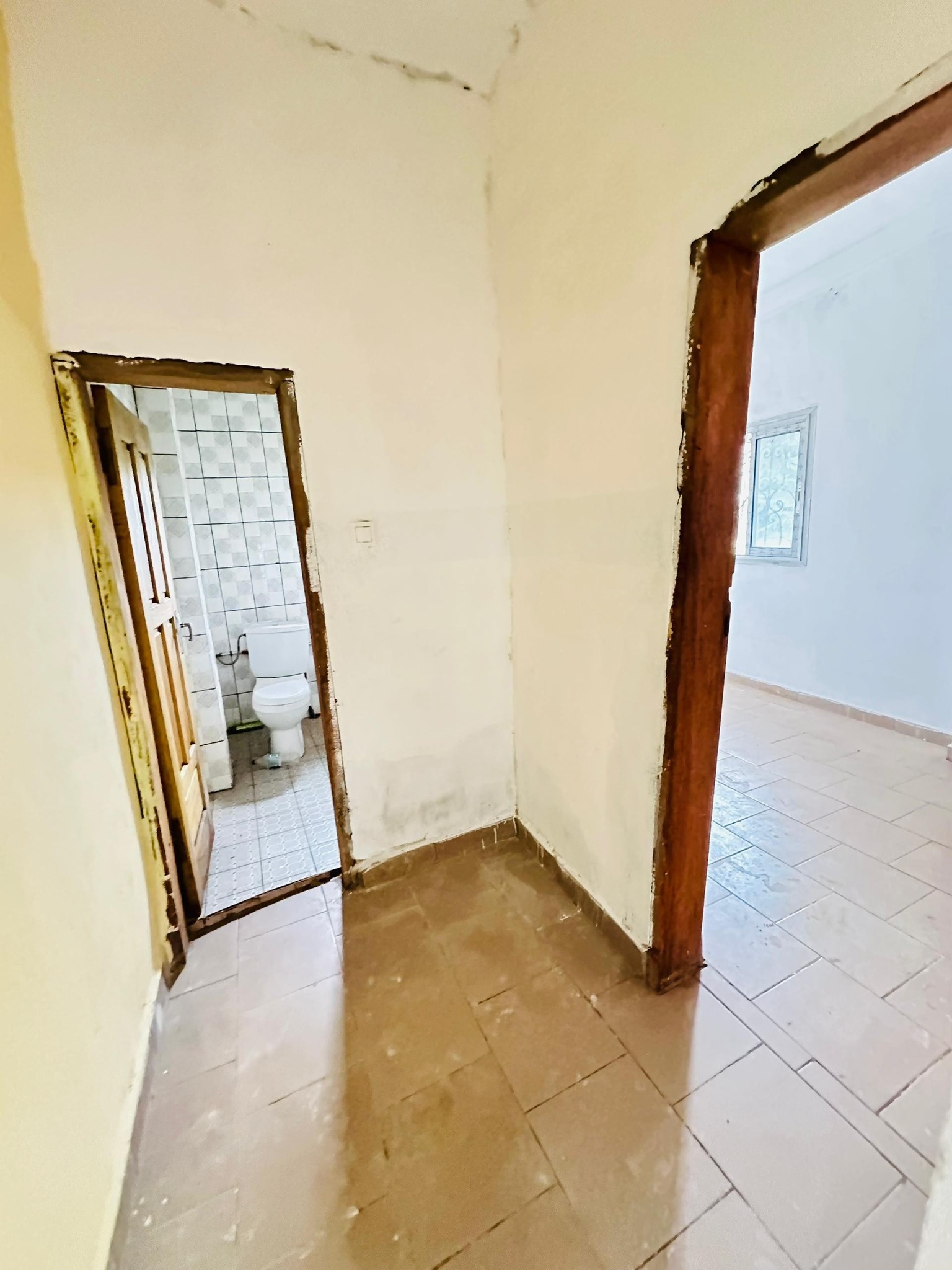 YI_studio_biyemassi_acacia_151025_clr