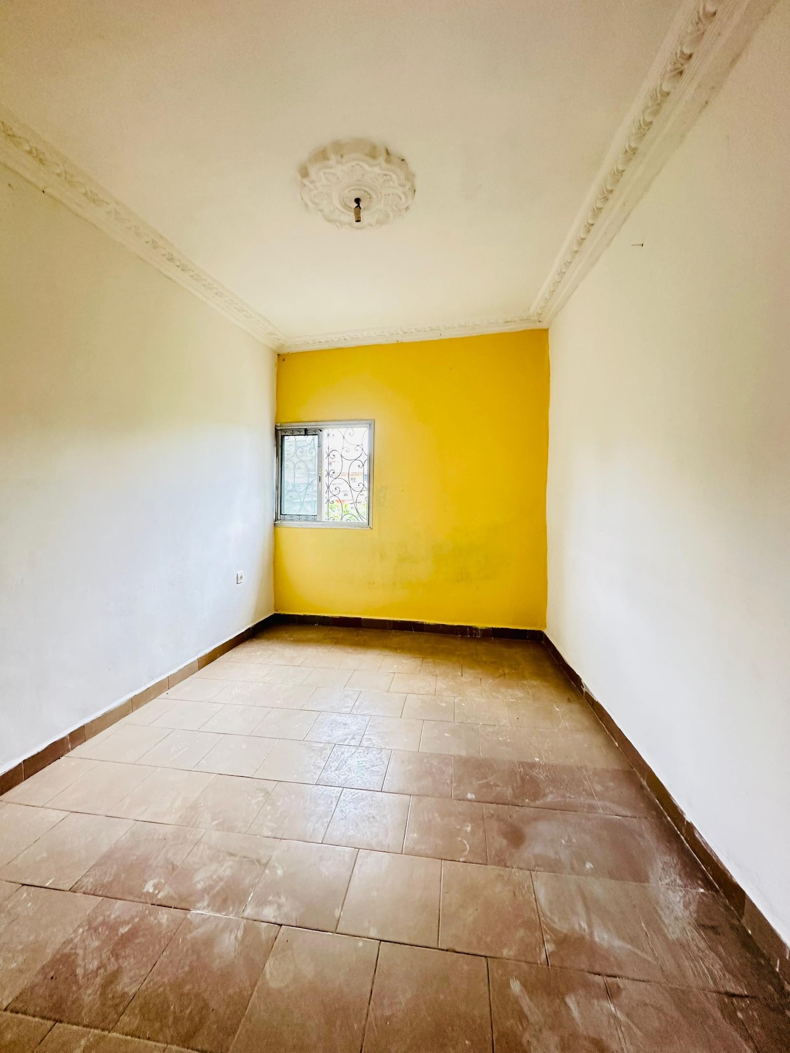 YI_studio_biyemassi_acacia_151025_sln1