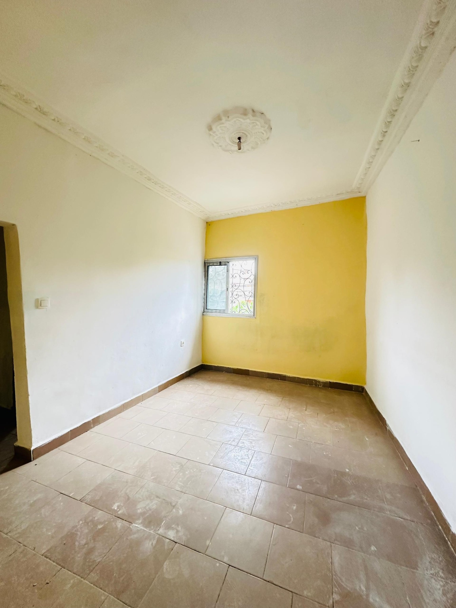 YI_studio_biyemassi_acacia_151025_sln2