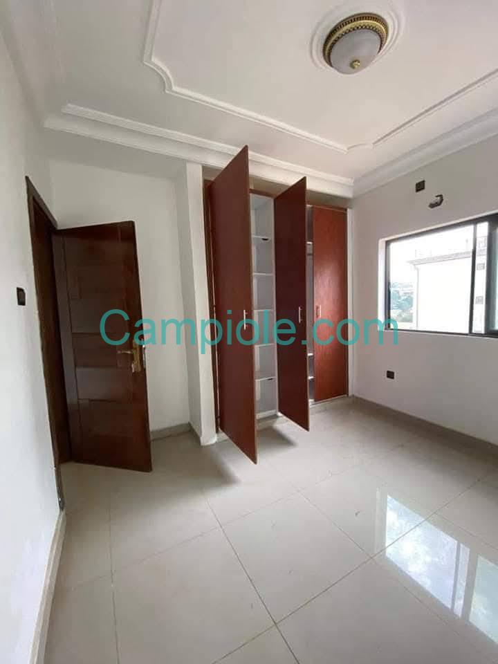 ZD_studio_damas_031025_chb2