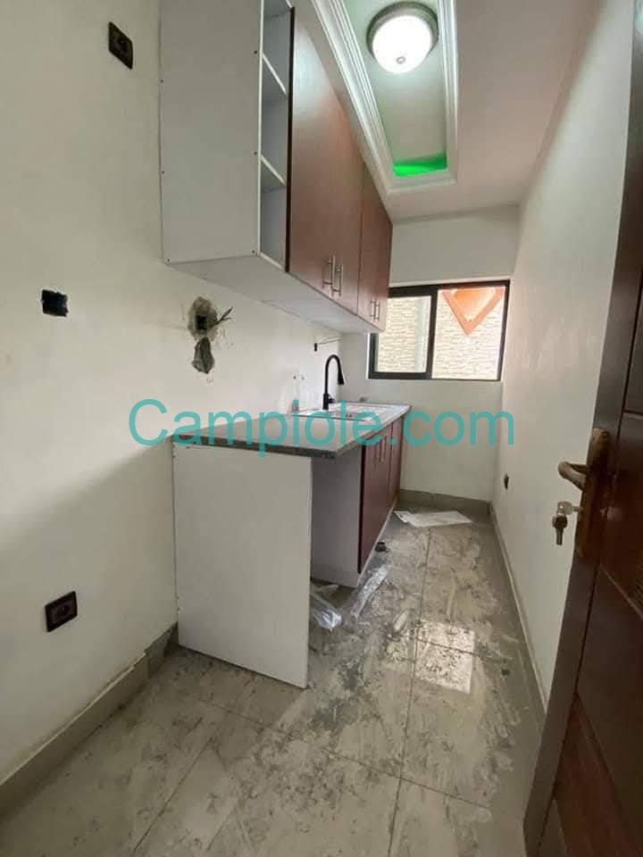 ZD_studio_damas_031025_csn