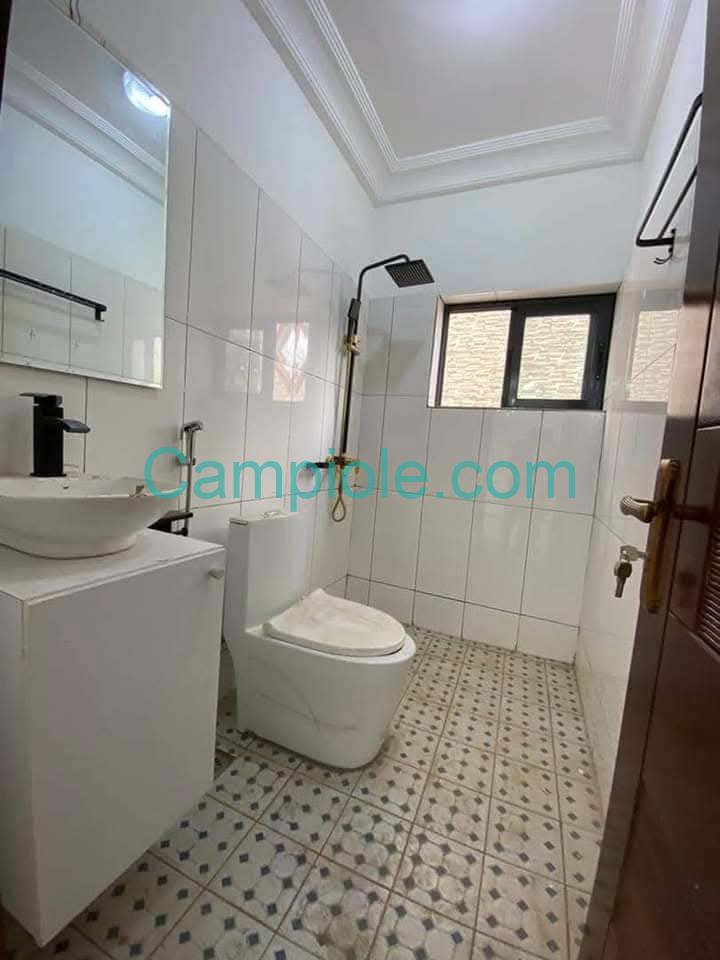 ZD_studio_damas_031025_dch